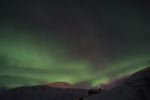 DSCF0530