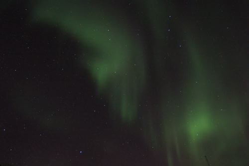 DSCF0718