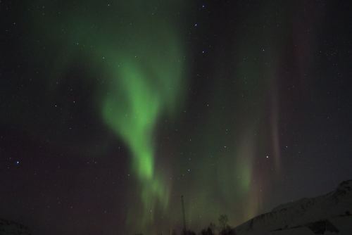 DSCF0724