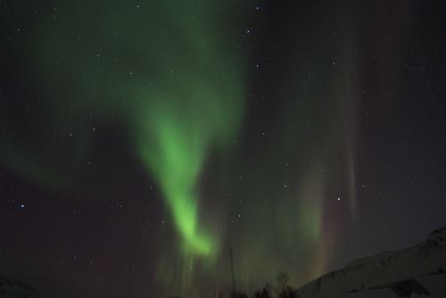 DSCF0725