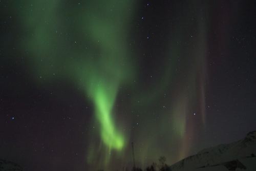 DSCF0726
