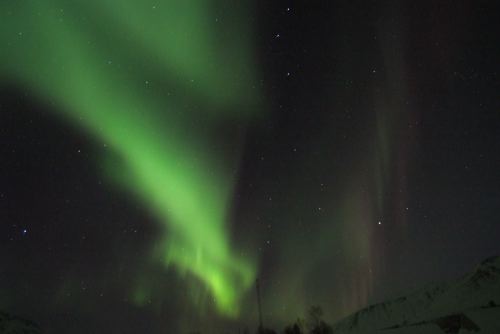 DSCF0728