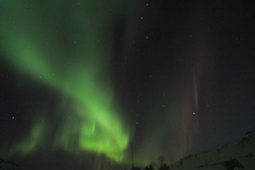 DSCF0734