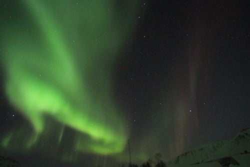 DSCF0739