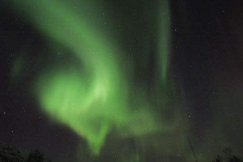 DSCF0742
