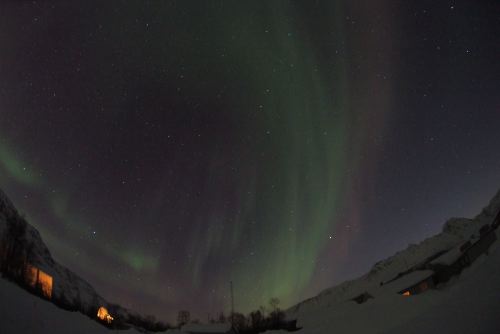 DSCF0761