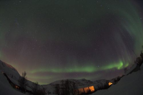 DSCF0766