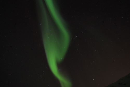 DSCF0635