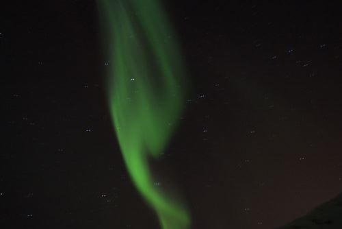 DSCF0636