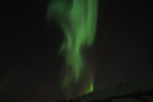 DSCF0637