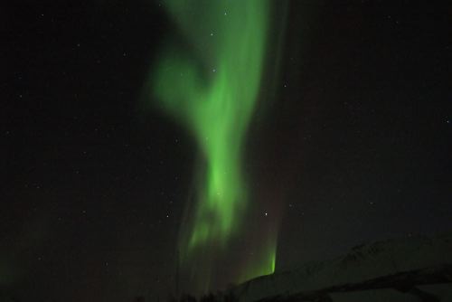 DSCF0638