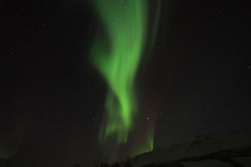 DSCF0639