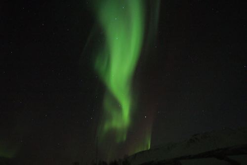 DSCF0640
