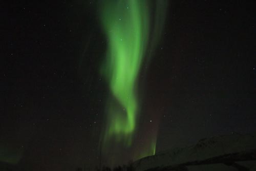 DSCF0641