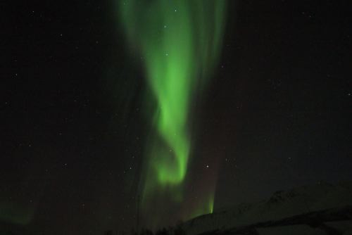 DSCF0642