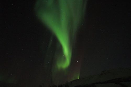 DSCF0644