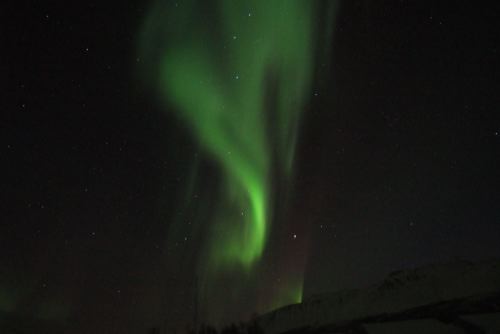 DSCF0645