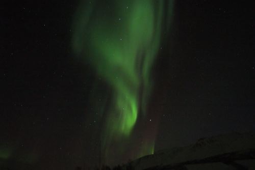 DSCF0646