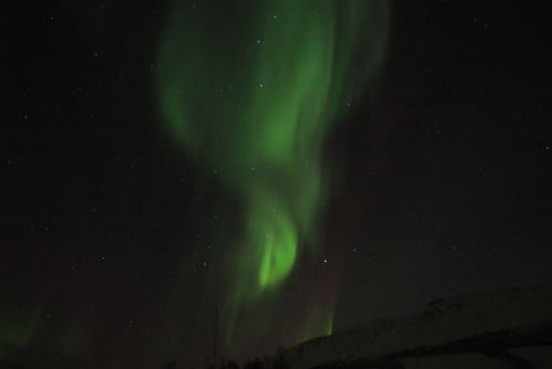DSCF0647