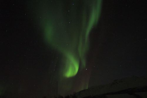 DSCF0649