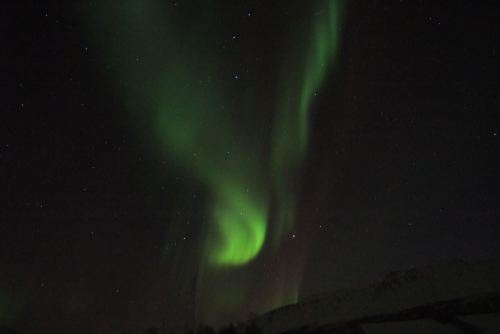 DSCF0650