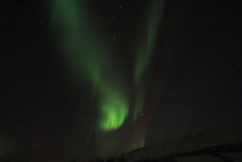DSCF0651