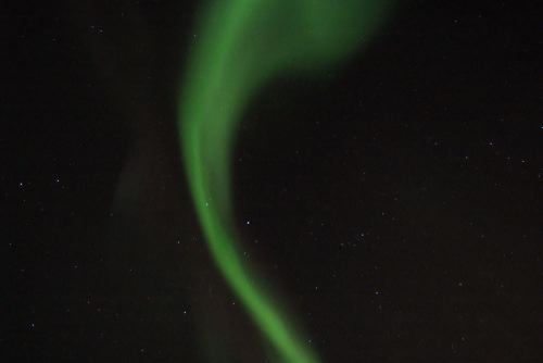 DSCF0652