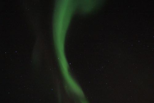 DSCF0654