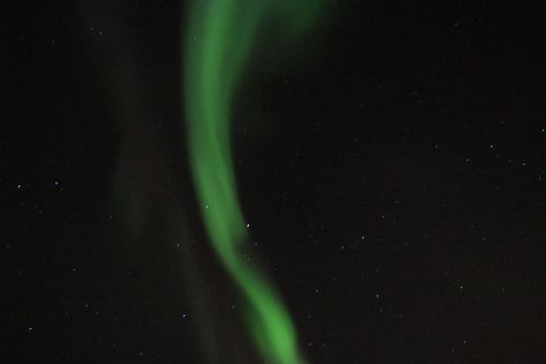 DSCF0655