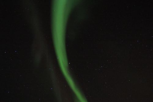 DSCF0656
