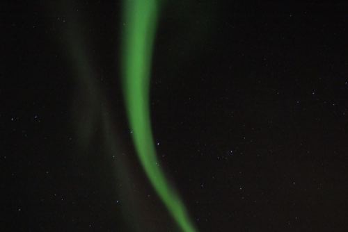 DSCF0657