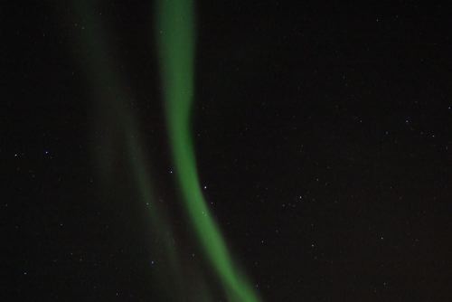 DSCF0659