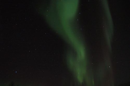DSCF0660