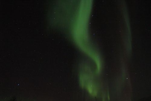 DSCF0661