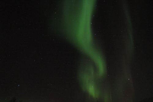 DSCF0662