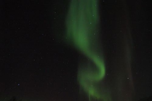 DSCF0665