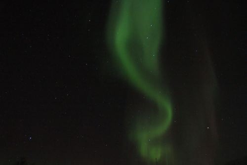 DSCF0668