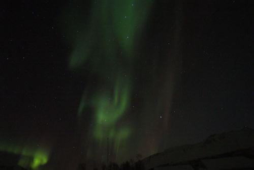DSCF0669