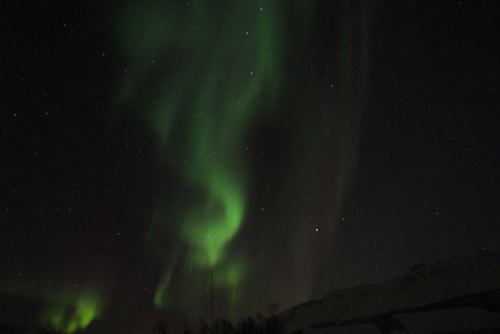 DSCF0673