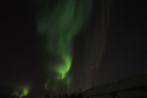 DSCF0674