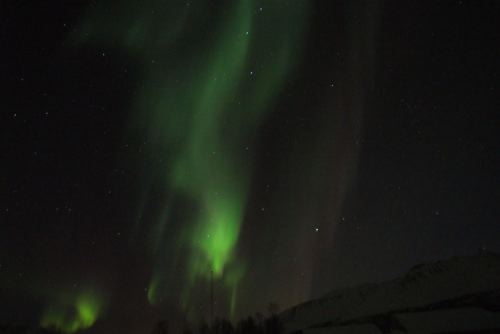 DSCF0675
