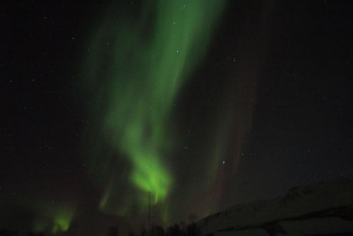 DSCF0677