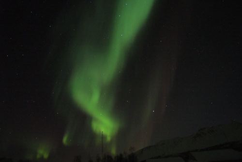 DSCF0678