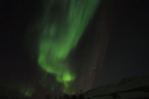 DSCF0681