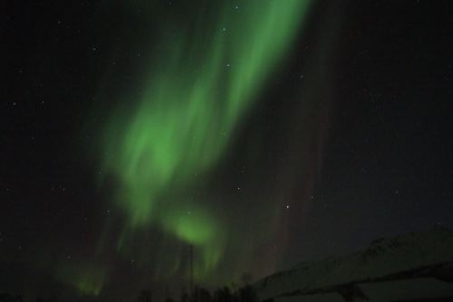 DSCF0683