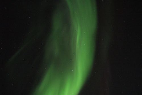 DSCF0686