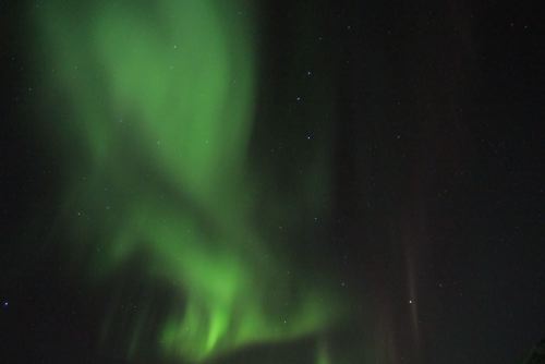 DSCF0701