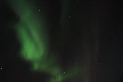 DSCF0709