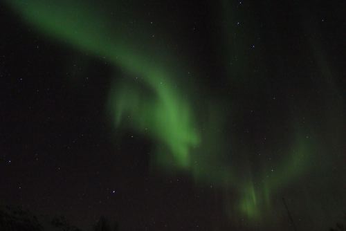 DSCF0710