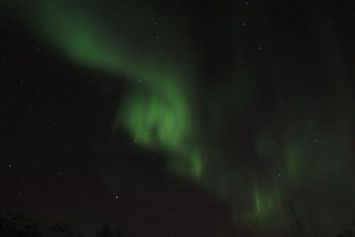DSCF0711